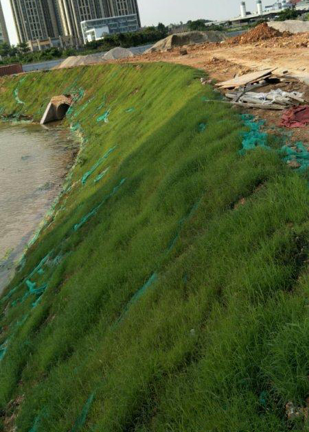 ˮ������̺Ӧ��