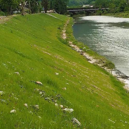 ��γ���̲��ϣ�ɽ�������޹�˾